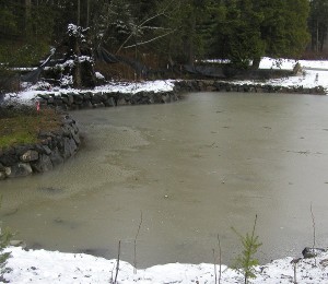 Teichpflege im Winter