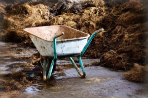 Organischer Dünger im Biogarten